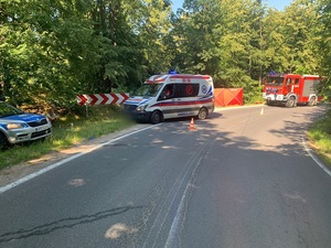 łuk drogi, policyjny radiowóz oznakowany, ambulans i straż pożarna