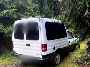 biały samochód stoi na gruntowej drodze wśród drzew
