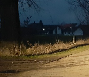 Kierowco uważaj! Błoto i nieczystości na drogach, to poważne zagrożenie!