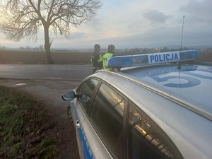 Policyjna akcja pod nazwą "Alkohol i narkotyki" na terenie powiatu ząbkowickiego