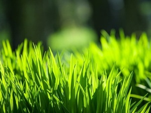 Rezerwując pobyt na „majówkę” uważaj na oszustów