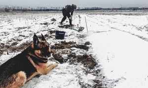 Tajna misja na Ukrainie