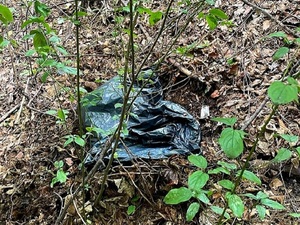 czarny worek w wykopanym w lesie zagłębieniu