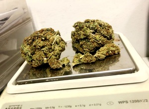 marihuana na wadze