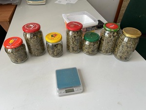 marihuana w 7 słoikach i waga elektroniczna