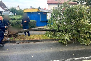 Nietrzeźwa 41-latka spowodowała kolizję i wjechała w drzewo