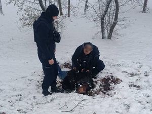 Zarzuty usiłowania zabójstwa dwóch policjantów dla zatrzymanego niebezpiecznego przestępcy