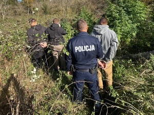 Zatrzymanie na terenie byłej miejscowości Pilce – policjanci z Kamieńca Ząbkowickiego zlikwidowali plantację konopii