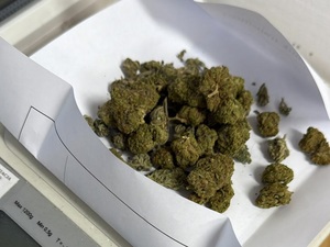 narkotyki, marihuana