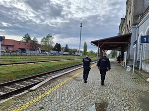 wspólne działania Policji i SOK-u na obszarach klejowych w Ząbkowicach Śląskich