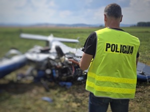 POlicyjne działania po upadku awionetki