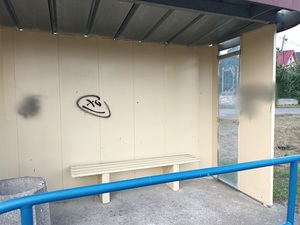 Nieletni nie są bezkarni. Kolejne skuteczne działania policjantów z Kamieńca Ząbkowickiego