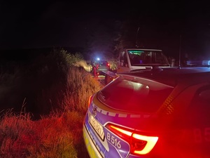 Trzeźwość za kierownicą ratuje życie