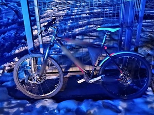 rower w nocy oparty o siatkę