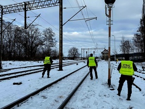 działania funkcjonariuszy w ramach operacji TOR, wspólnie z WOT i SOK