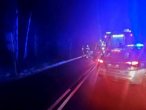 Bezpieczeństwo przede wszystkim. Andrzejkowy bilans na drogach powiatu ząbkowickiego