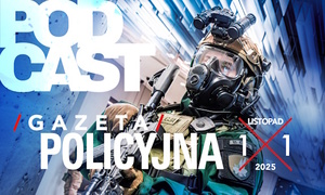 Gazeta Policyjna – listopad 2025