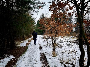 policjanci umundurowani w lesie zimą, szkolenie z poszukiwania osób zaginionych