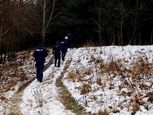 policjanci umundurowani w lesie zimą, szkolenie z poszukiwania osób zaginionych