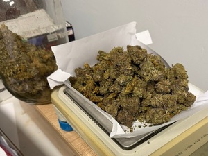 narkotyki, marihuana na wadze i w słoiku