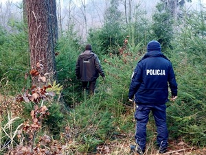 policjanci ze Strażą Leśną na działaniach w lasach Choinka