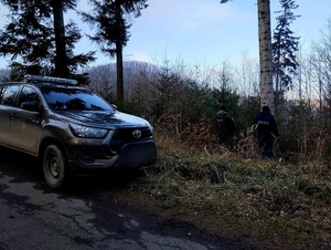 policjanci ze Strażą Leśną na działaniach w lasach Choinka