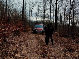 policjanci ze Strażą Leśną na działaniach w lasach Choinka