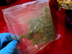 zielony susz w woreczku foliowym