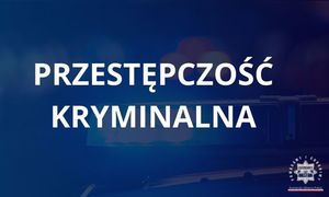 Zwalczanie przestępczości kryminalnej