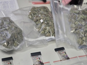 marihuana w woreczkach zgrzanych leży na stole