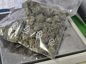 marihuana w woreczku leży na wadze