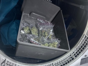 marihuana w misce w bębnie pralki