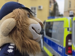 wizyta dzieci z przedszkola na komendzie, radiowozy