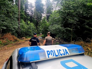 wspólny patrol funkcjonariuszy straży leśnej i policjantów