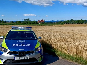 radiowóz w dzień przy polu ze zbożem