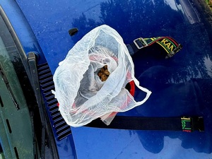 saszetka z narkotykami leżąca na masce samochodu