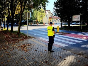 policjanci w rejonach szkół